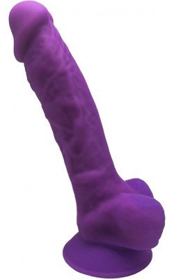 SILEXD - MODELO 1 PENE...